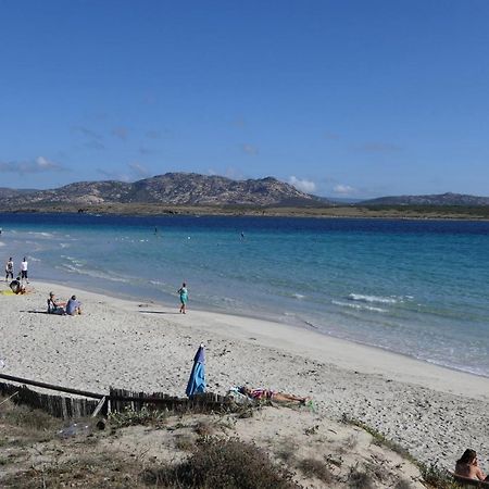 Resort Con Piscina A Soli 250 Mt Dalla Spiaggia La Pelosa Stintino Buitenkant foto